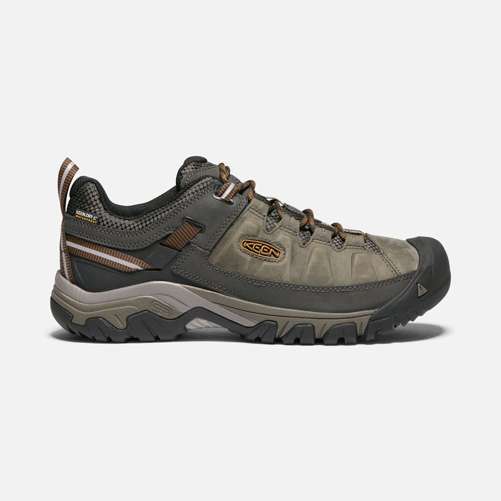 Keen Wandelschoenen Heren Olijfgroen/Zwart - Targhee Iii Waterproof - 25904-HGXR